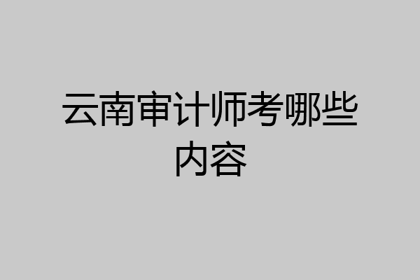 云南审计师考哪些内容