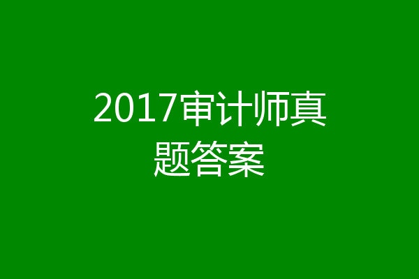 2017审计师真题答案
