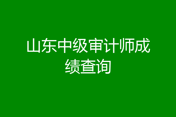 山东中级审计师成绩查询