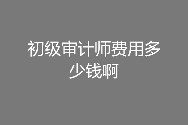初级审计师费用多少钱啊