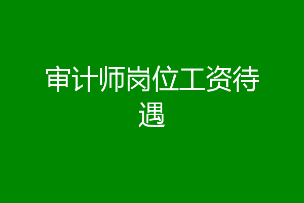 审计师岗位工资待遇