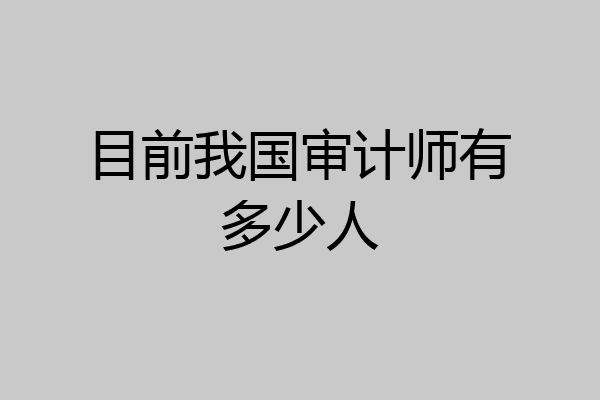 目前我国审计师有多少人
