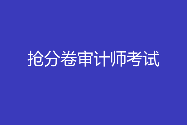 抢分卷审计师考试
