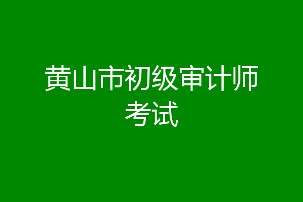 黄山市初级审计师考试