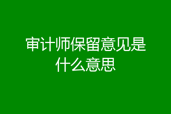 审计师保留意见是什么意思