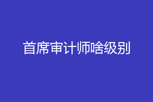 首席审计师啥级别