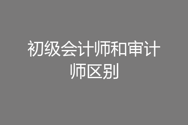 初级会计师和审计师区别