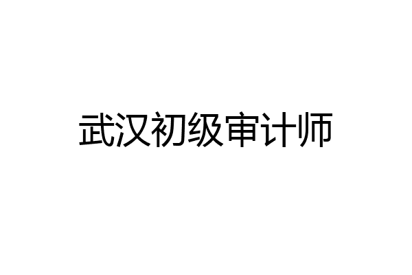 武汉初级审计师