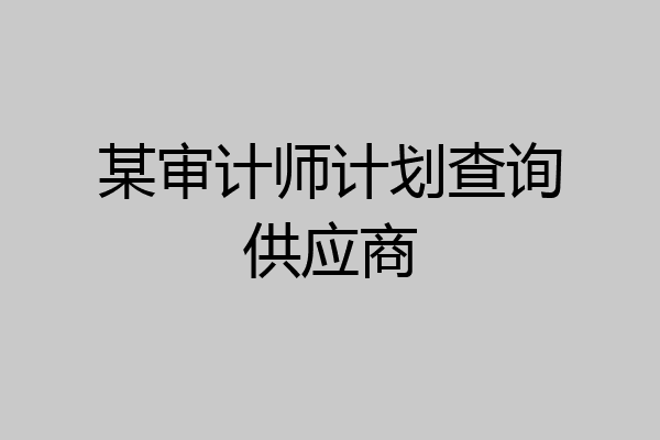 某审计师计划查询供应商