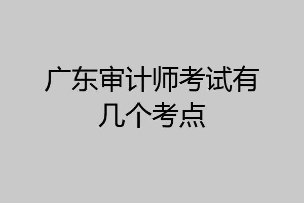 广东审计师考试有几个考点