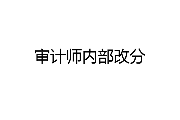 审计师内部改分