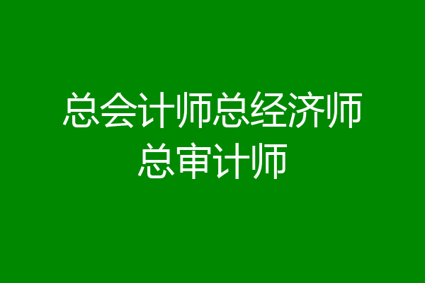 总会计师总经济师总审计师