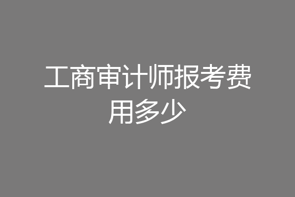 工商审计师报考费用多少