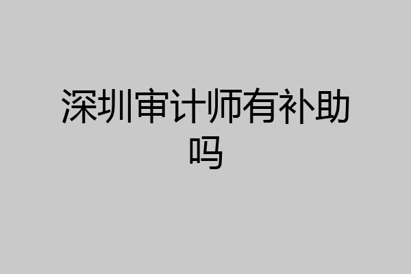 深圳审计师有补助吗