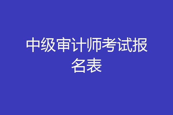 中级审计师考试报名表