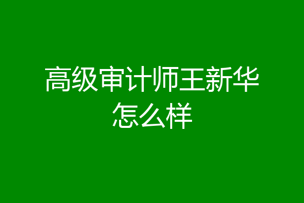 高级审计师王新华怎么样