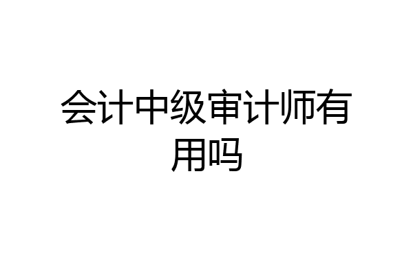 会计中级审计师有用吗