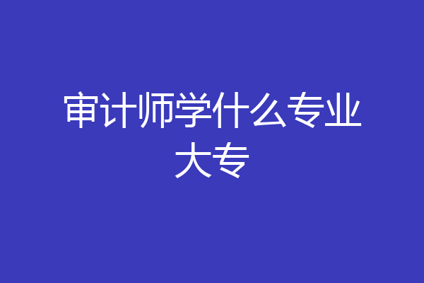 审计师学什么专业大专