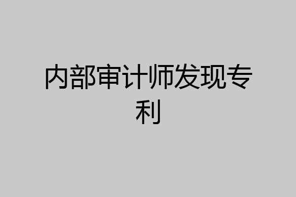 内部审计师发现专利