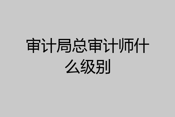 审计局总审计师什么级别