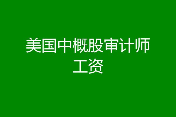 美国中概股审计师工资