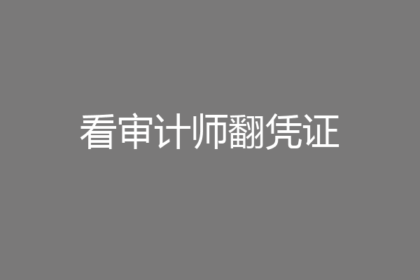 看审计师翻凭证