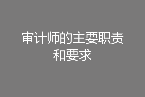 审计师的主要职责和要求