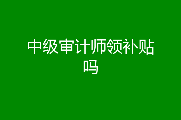 中级审计师领补贴吗