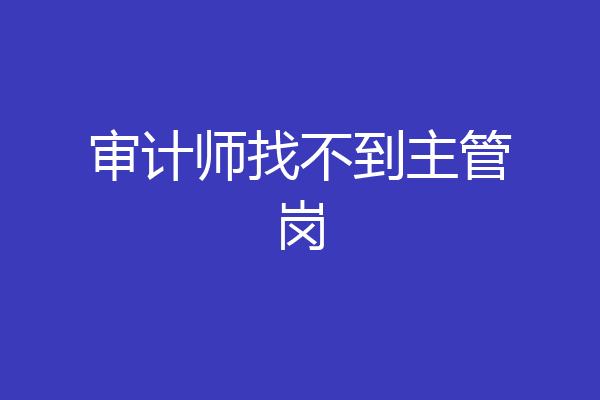 审计师找不到主管岗