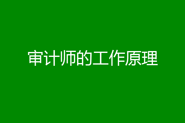 审计师的工作原理