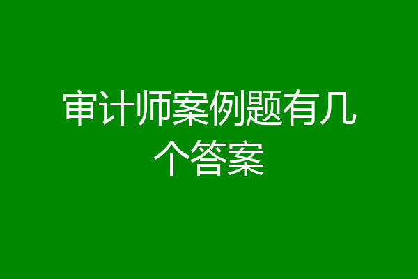 审计师案例题有几个答案