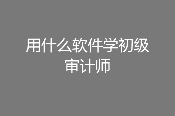 用什么软件学初级审计师