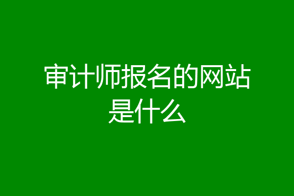 审计师报名的网站是什么