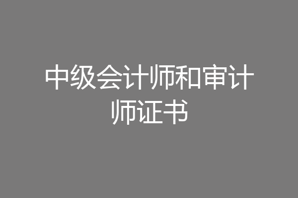 中级会计师和审计师证书