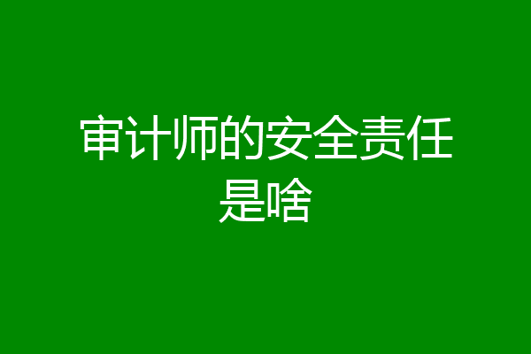 审计师的安全责任是啥