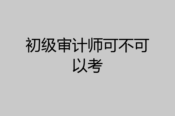 初级审计师可不可以考
