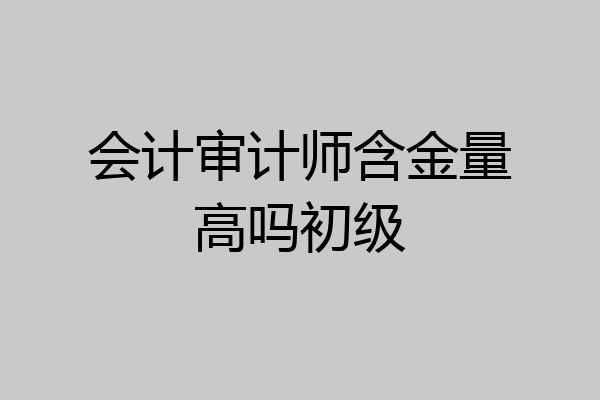 会计审计师含金量高吗初级