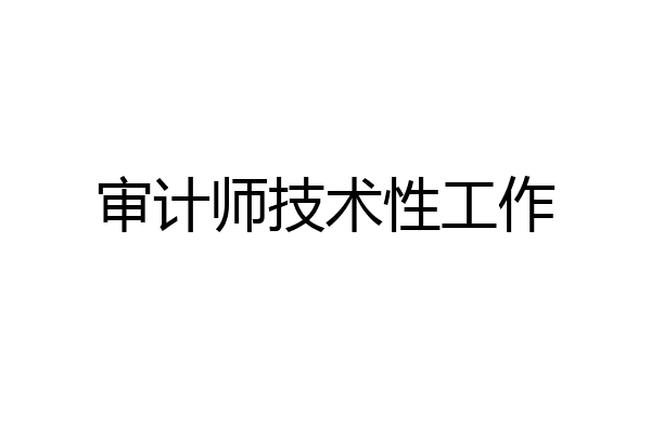 审计师技术性工作