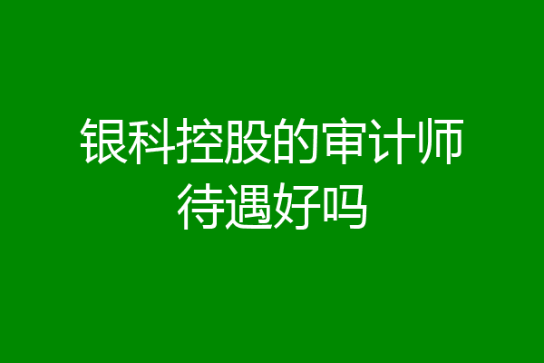 银科控股的审计师待遇好吗