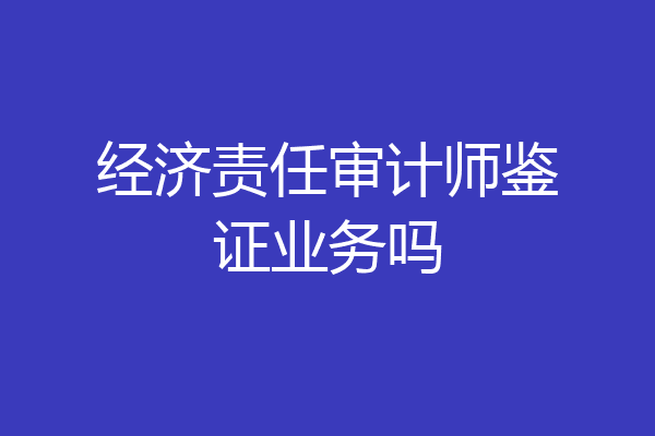 经济责任审计师鉴证业务吗