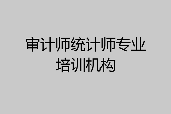 审计师统计师专业培训机构