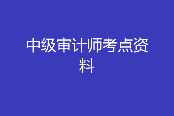 中级审计师考点资料