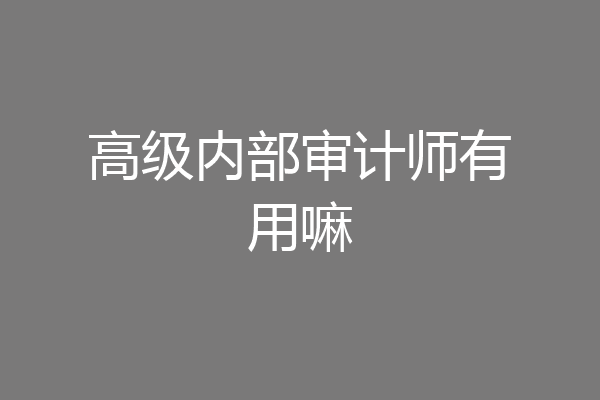 高级内部审计师有用嘛