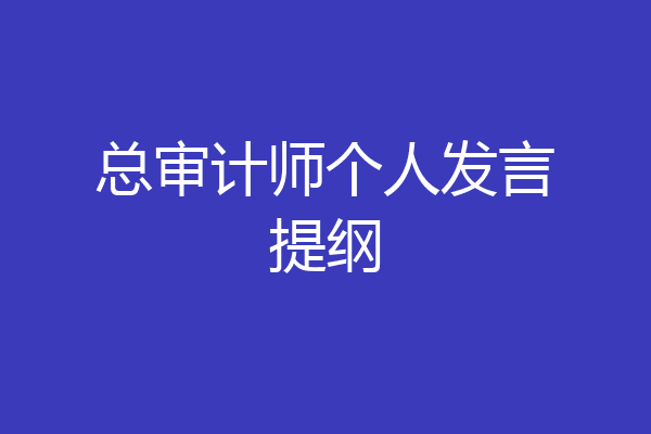 总审计师个人发言提纲