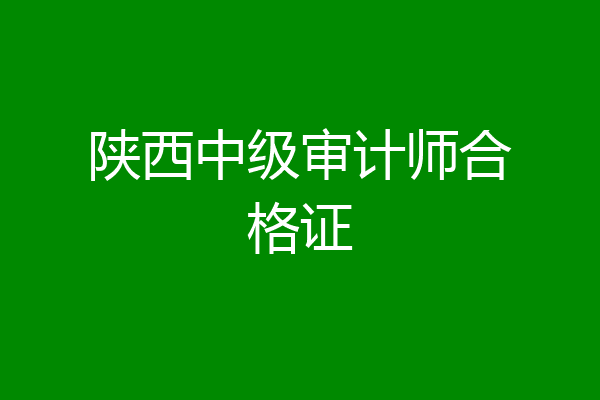 陕西中级审计师合格证