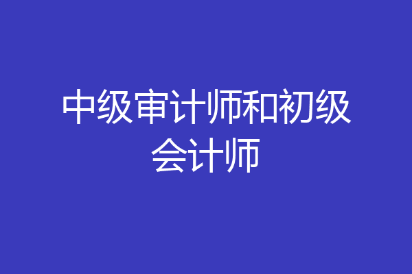 中级审计师和初级会计师