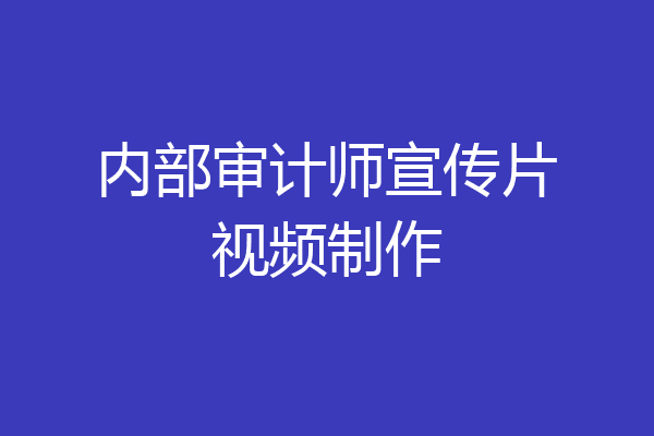 内部审计师宣传片视频制作
