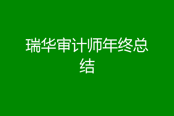 瑞华审计师年终总结