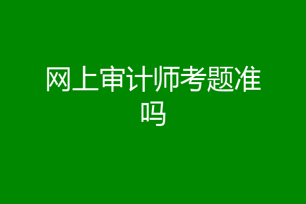 网上审计师考题准吗