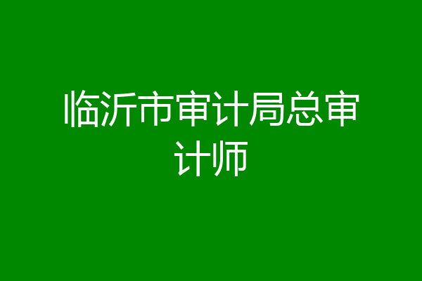 临沂市审计局总审计师